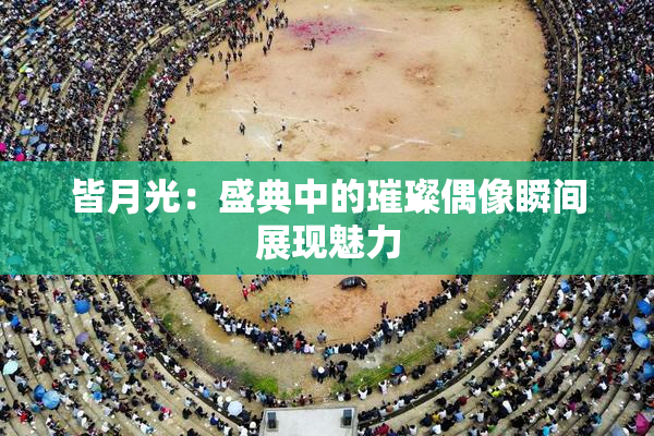 皆月光：盛典中的璀璨偶像瞬间展现魅力