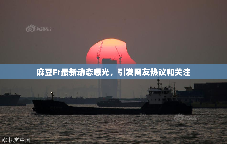 麻豆Fr最新动态曝光，引发网友热议和关注
