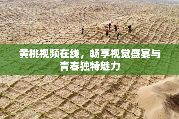 黄桃视频在线，畅享视觉盛宴与青春独特魅力