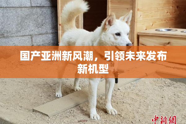 国产亚洲新风潮，引领未来发布新机型