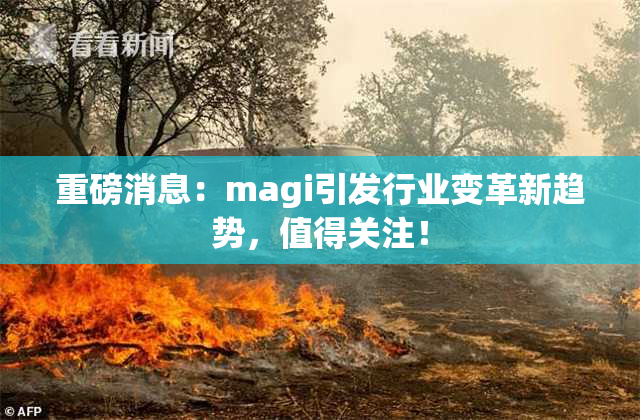 重磅消息：magi引发行业变革新趋势，值得关注！