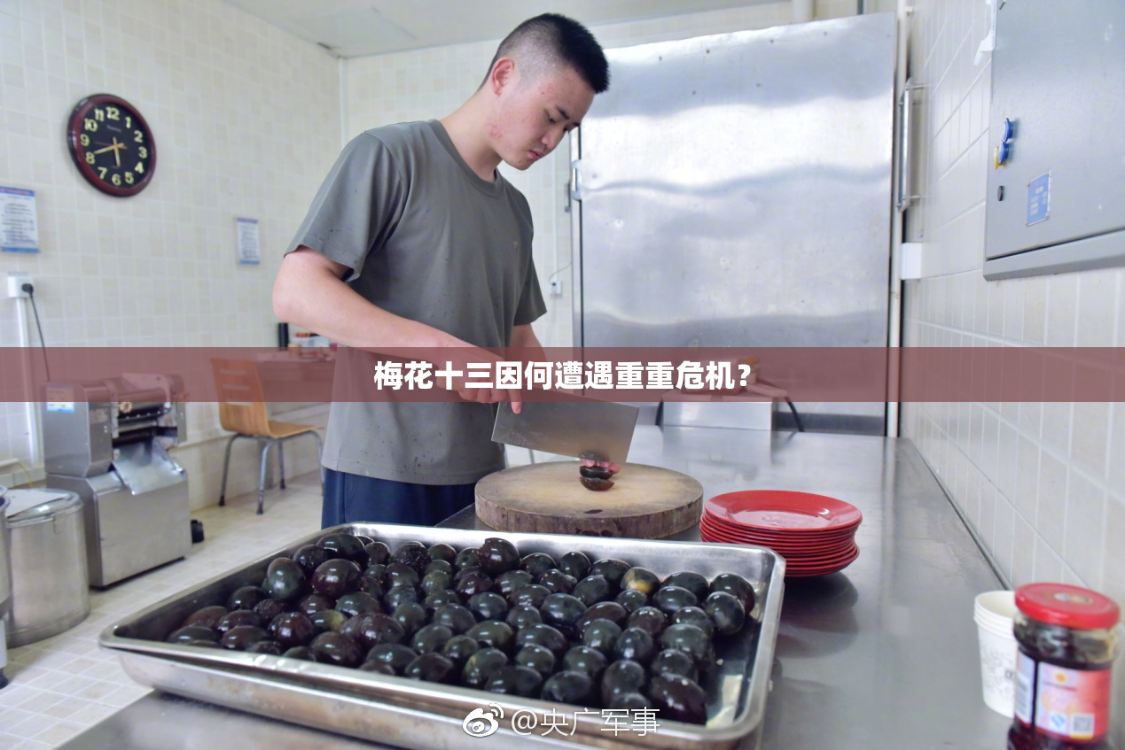 梅花十三因何遭遇重重危机？