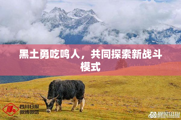 黑土勇吃鸣人，共同探索新战斗模式