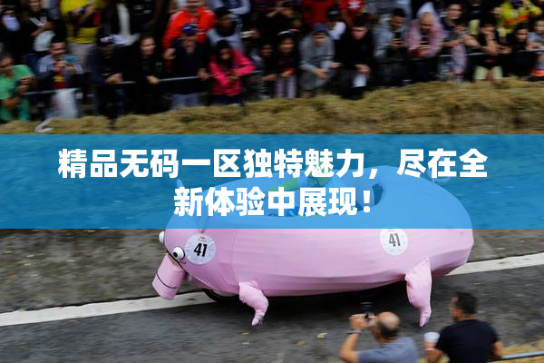 精品无码一区独特魅力，尽在全新体验中展现！