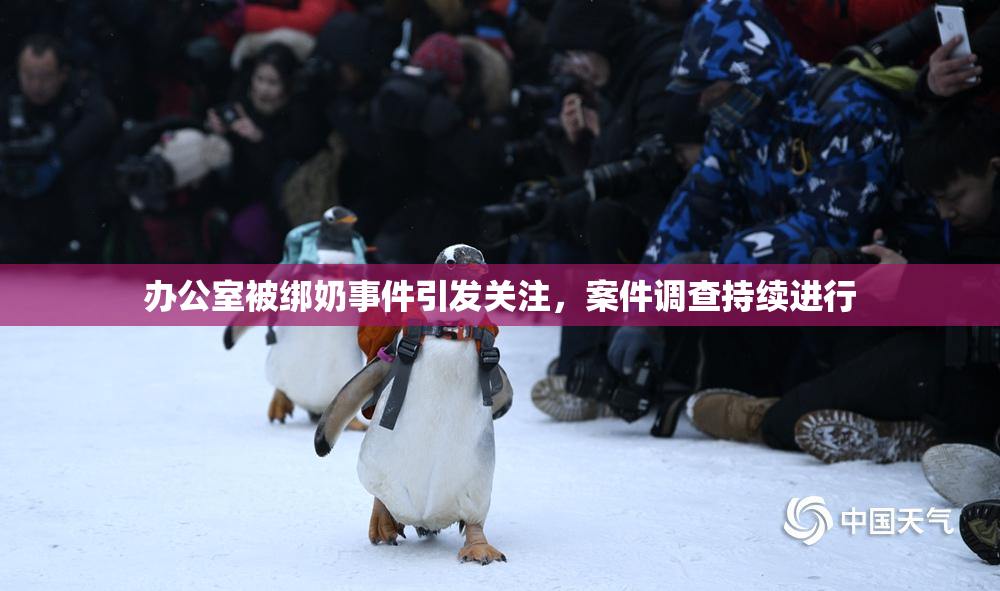 办公室被绑奶事件引发关注，案件调查持续进行