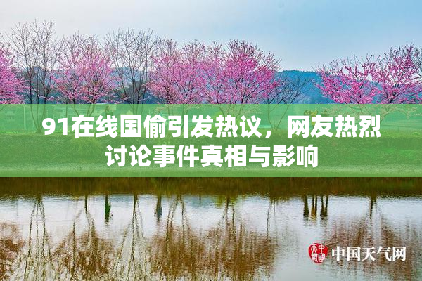 91在线国偷引发热议，网友热烈讨论事件真相与影响