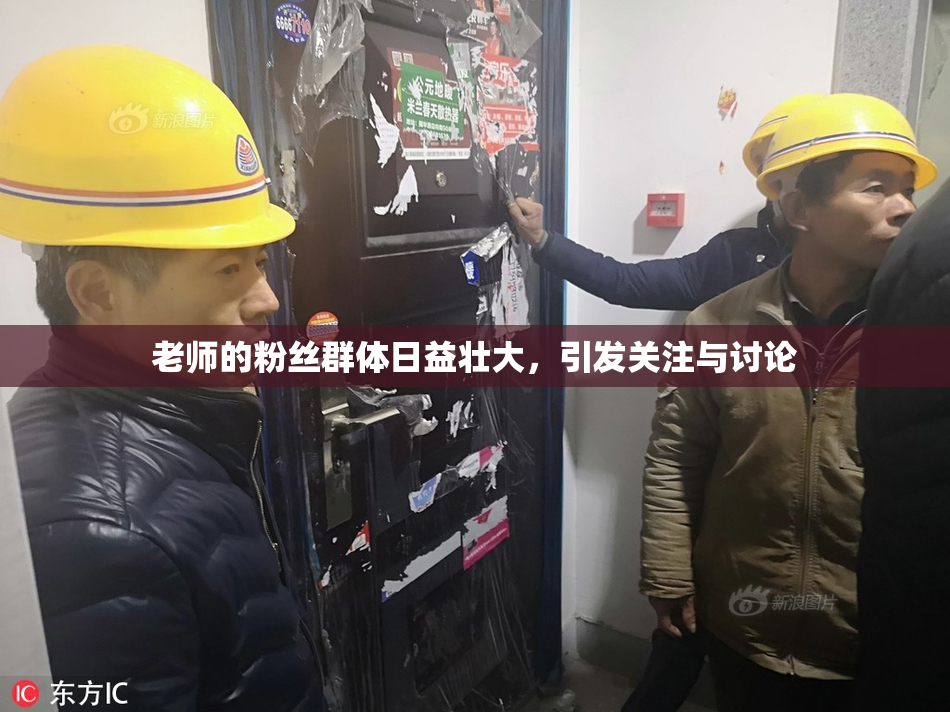 老师的粉丝群体日益壮大，引发关注与讨论