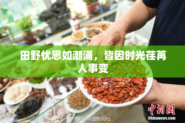 田野忧思如潮涌，皆因时光荏苒人事变