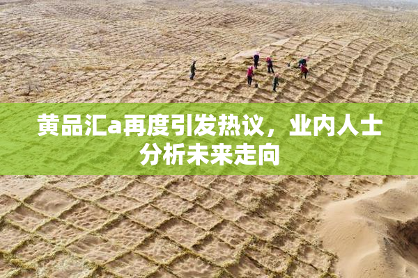 黄品汇a再度引发热议，业内人士分析未来走向
