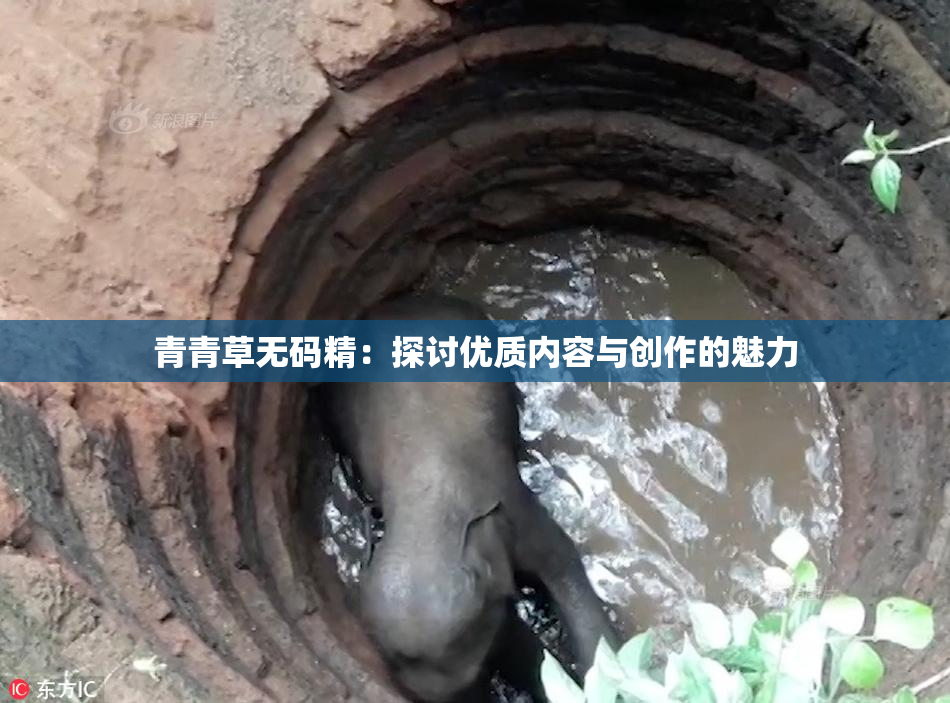 青青草无码精：探讨优质内容与创作的魅力