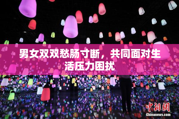 男女双双愁肠寸断，共同面对生活压力困扰