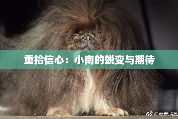 重拾信心：小南的蜕变与期待