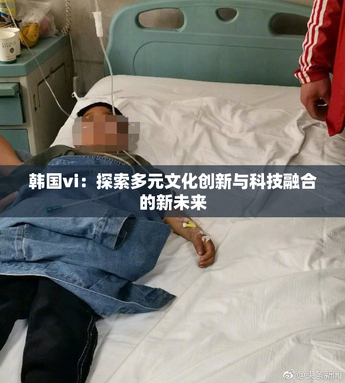 韩国vi：探索多元文化创新与科技融合的新未来