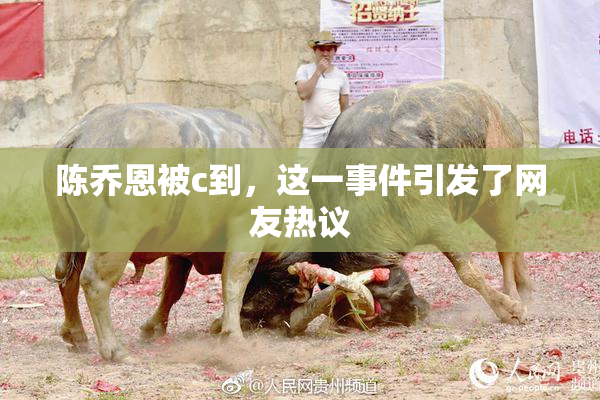 陈乔恩被c到，这一事件引发了网友热议