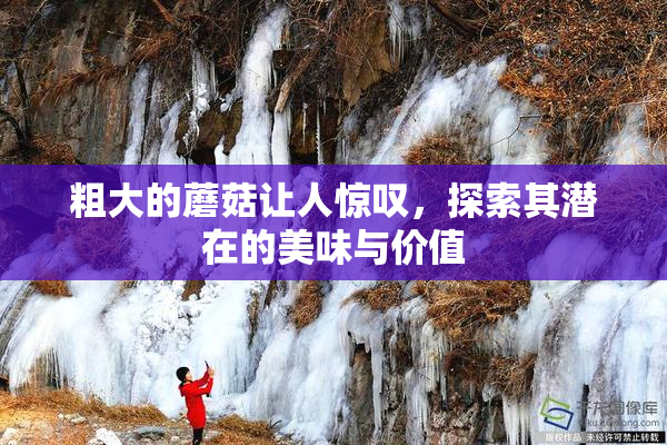 粗大的蘑菇让人惊叹，探索其潜在的美味与价值