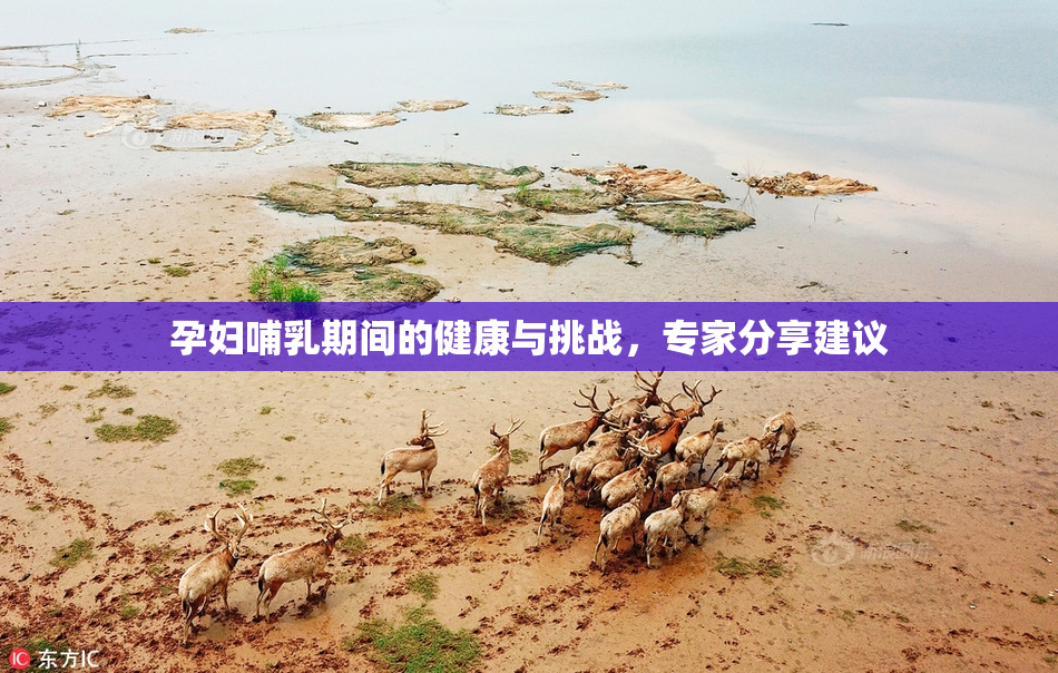 孕妇哺乳期间的健康与挑战，专家分享建议
