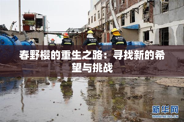 春野樱的重生之路：寻找新的希望与挑战