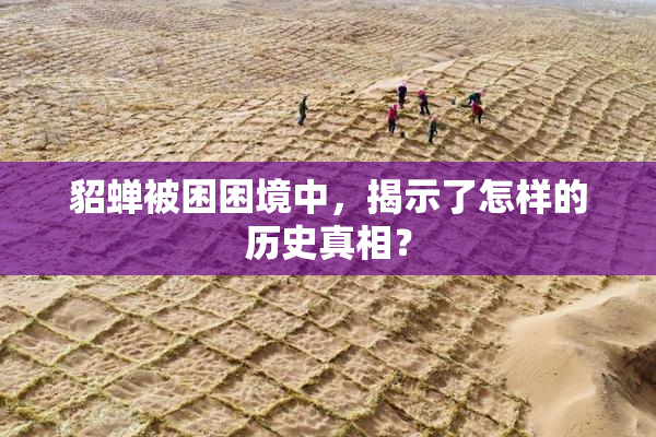 貂蝉被困困境中，揭示了怎样的历史真相？