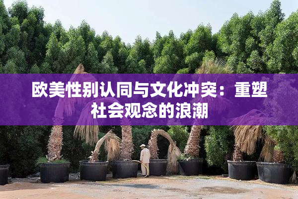 欧美性别认同与文化冲突：重塑社会观念的浪潮