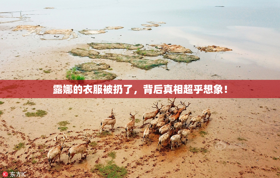 露娜的衣服被扔了，背后真相超乎想象！