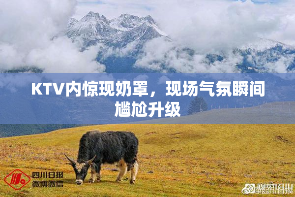 KTV内惊现奶罩，现场气氛瞬间尴尬升级