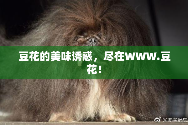 豆花的美味诱惑，尽在WWW.豆花！