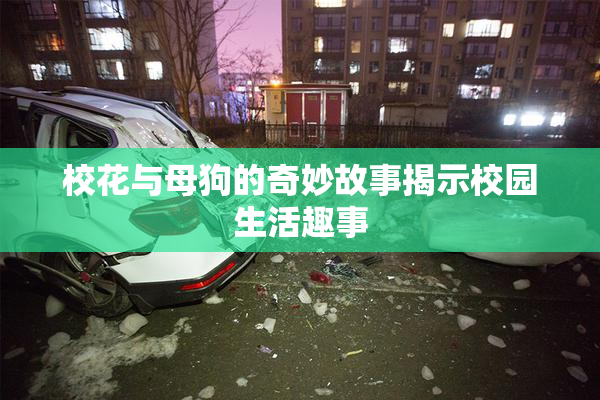 校花与母狗的奇妙故事揭示校园生活趣事