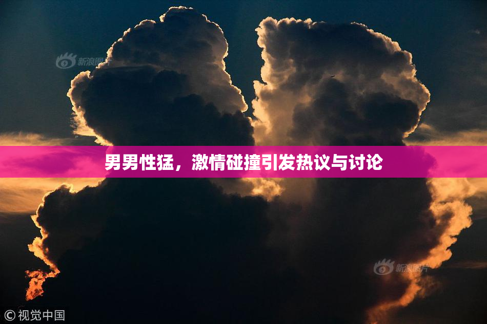 男男性猛，激情碰撞引发热议与讨论