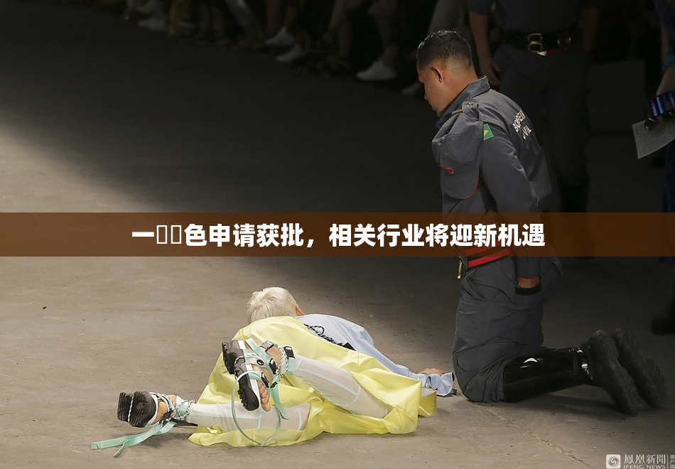 一級黃色申请获批，相关行业将迎新机遇