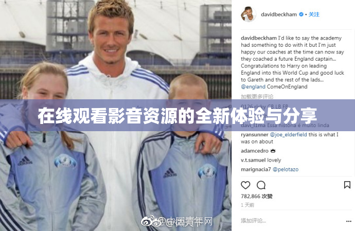 在线观看影音资源的全新体验与分享
