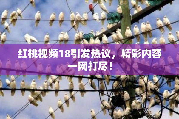 红桃视频18引发热议，精彩内容一网打尽！
