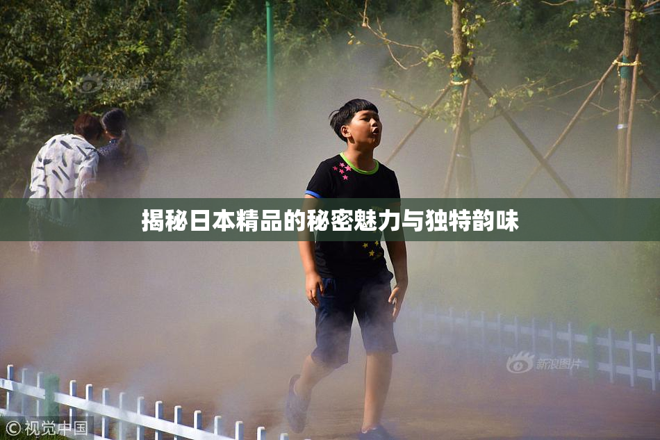揭秘日本精品的秘密魅力与独特韵味