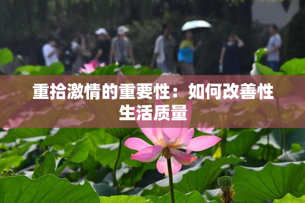 重拾激情的重要性：如何改善性生活质量