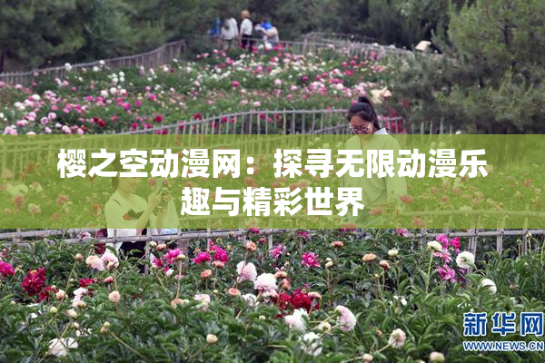 樱之空动漫网：探寻无限动漫乐趣与精彩世界