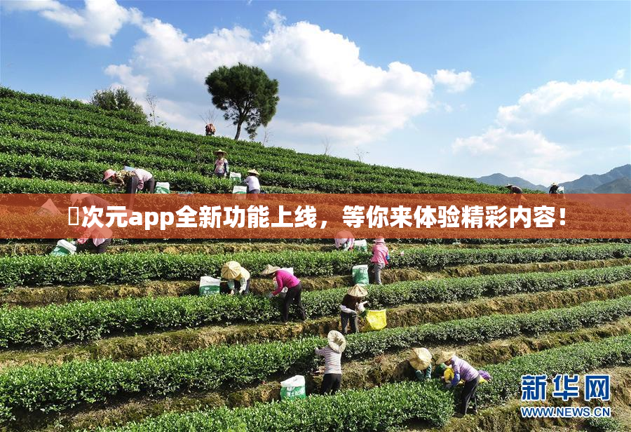 囧次元app全新功能上线，等你来体验精彩内容！