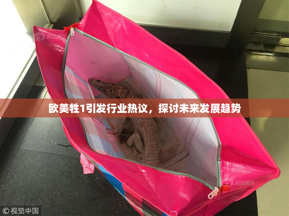 欧美牲1引发行业热议，探讨未来发展趋势