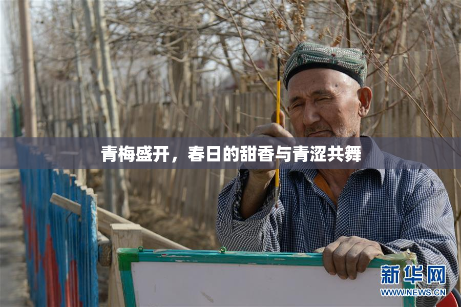 青梅盛开，春日的甜香与青涩共舞