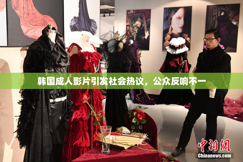 韩国成人影片引发社会热议，公众反响不一