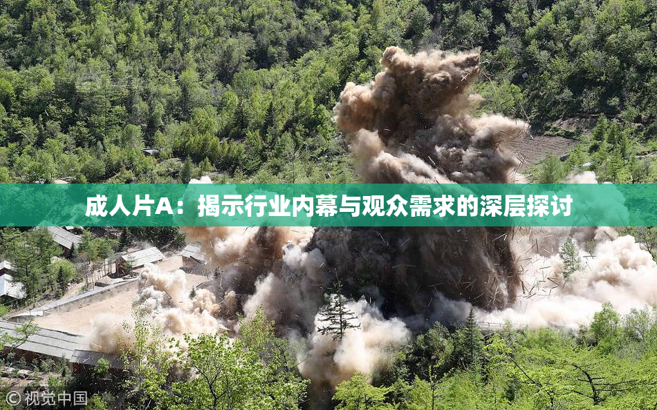 成人片A：揭示行业内幕与观众需求的深层探讨