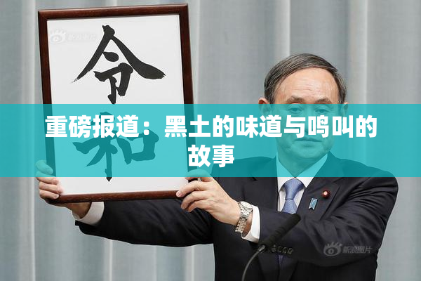 重磅报道：黑土的味道与鸣叫的故事