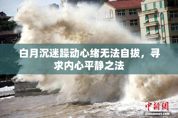 白月沉迷躁动心绪无法自拔，寻求内心平静之法