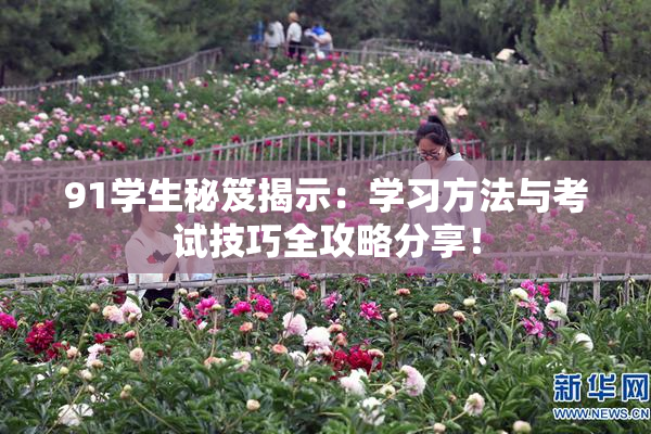 91学生秘笈揭示：学习方法与考试技巧全攻略分享！