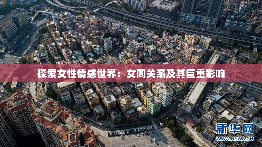 探索女性情感世界：女同关系及其巨重影响