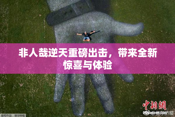 非人哉逆天重磅出击，带来全新惊喜与体验