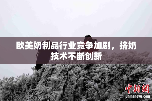欧美奶制品行业竞争加剧，挤奶技术不断创新