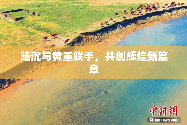 陆沉与黄重联手，共创辉煌新篇章