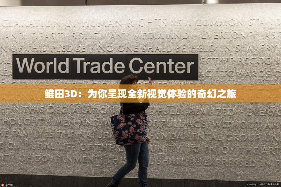 雏田3D：为你呈现全新视觉体验的奇幻之旅