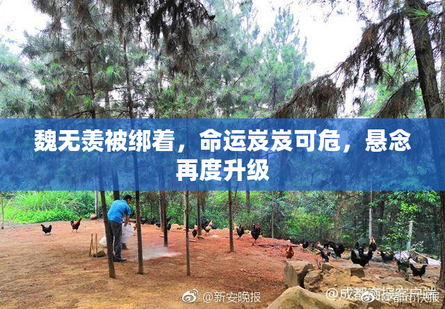 魏无羡被绑着，命运岌岌可危，悬念再度升级