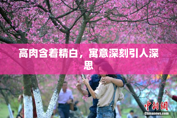 高肉含着精白，寓意深刻引人深思