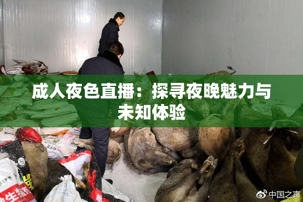 成人夜色直播：探寻夜晚魅力与未知体验